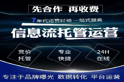 SEM代理如何助力企业实现ROI最大化